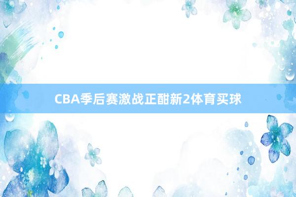 CBA季后赛激战正酣新2体育买球