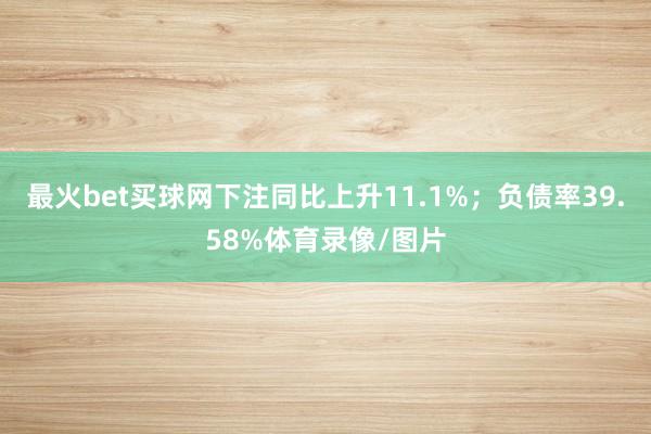 最火bet买球网下注同比上升11.1%；负债率39.58%体育录像/图片