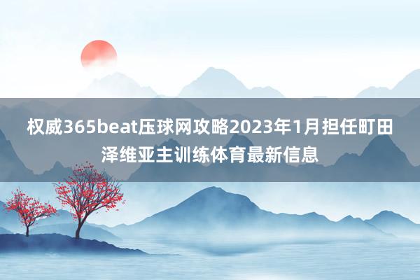 权威365beat压球网攻略2023年1月担任町田泽维亚主训练体育最新信息