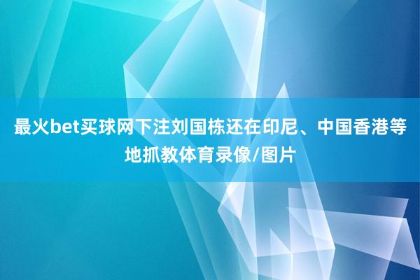 最火bet买球网下注刘国栋还在印尼、中国香港等地抓教体育录像/图片