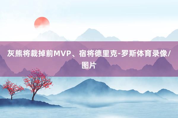 灰熊将裁掉前MVP、宿将德里克-罗斯体育录像/图片