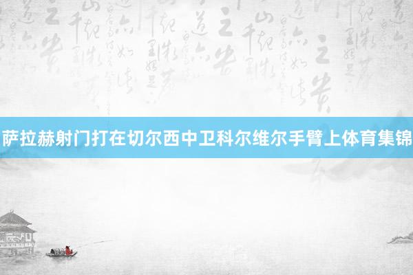 萨拉赫射门打在切尔西中卫科尔维尔手臂上体育集锦