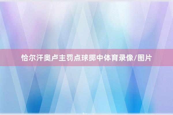 恰尔汗奥卢主罚点球掷中体育录像/图片